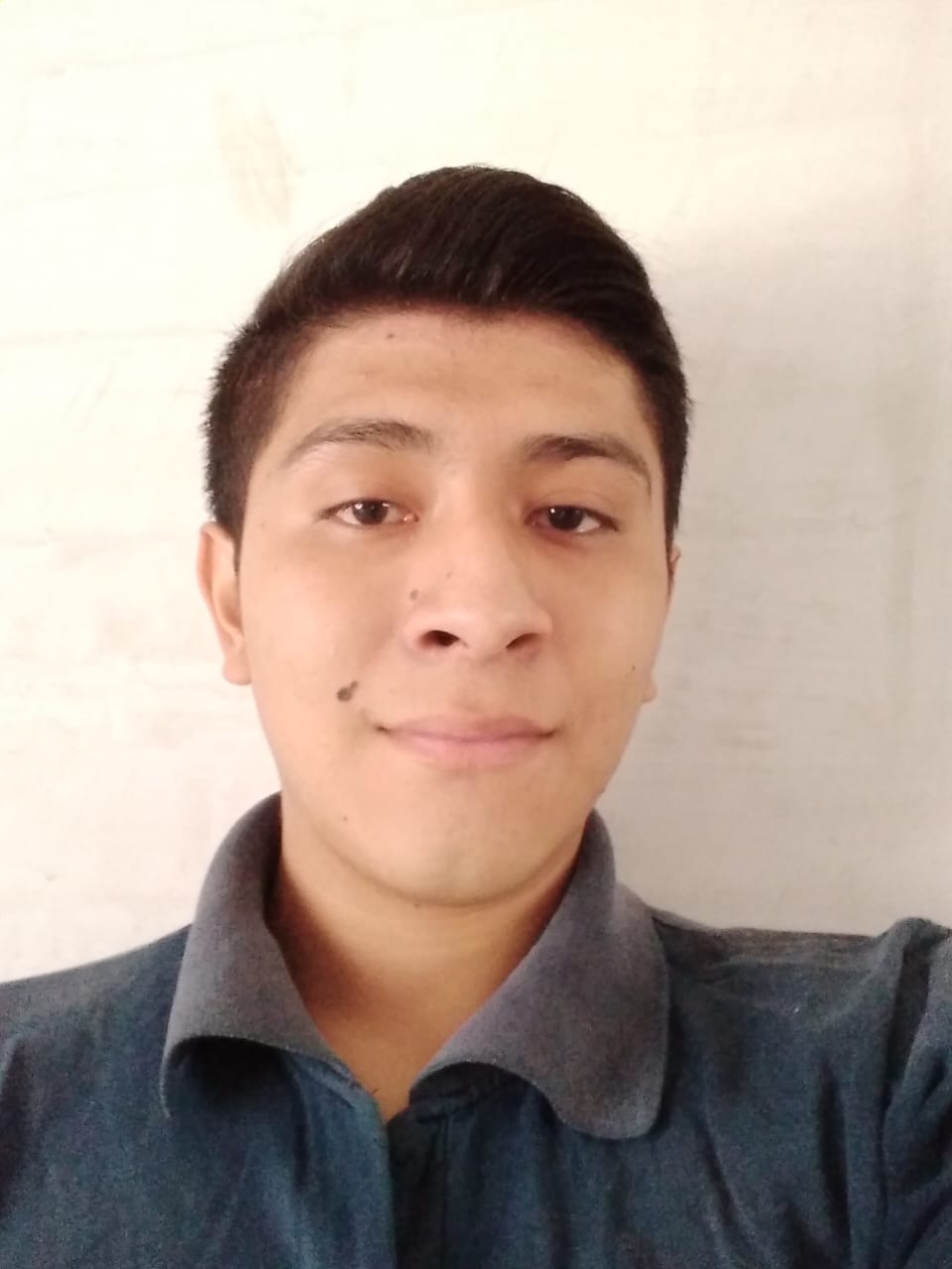 Perfil